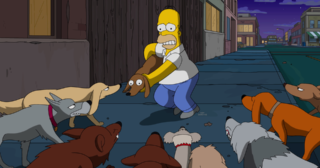 Estreno de Los Simpson en España: «Dogtown» (28x22)
